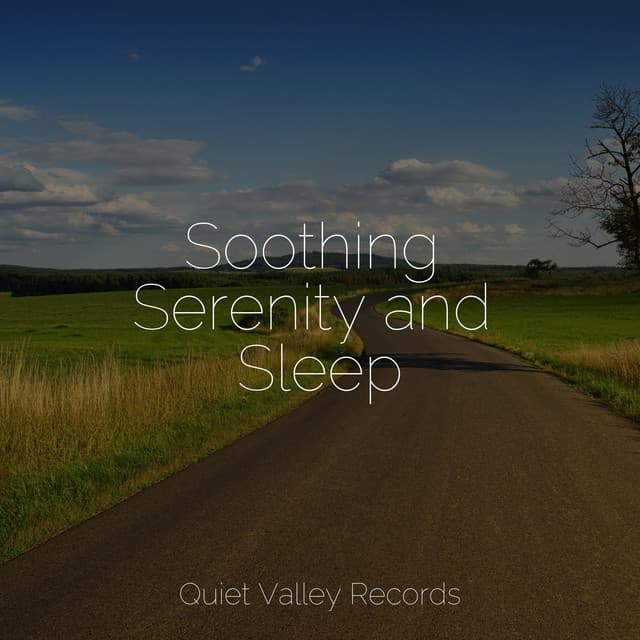 Soothing Serenity and Sleep - Active Baby Music Workshop