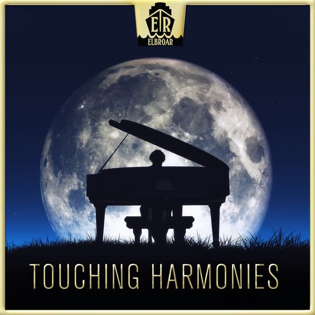 Touching Harmonies - Amit Weiner