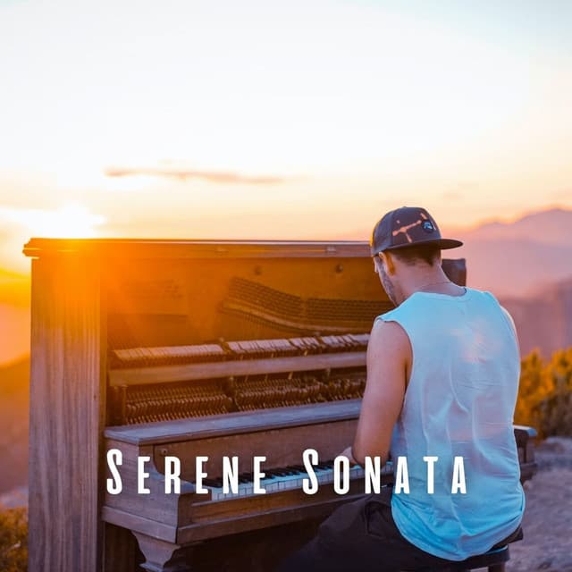 Serene Sonata: The Piano Sounds for Focus - Relaxation Piano in Mind