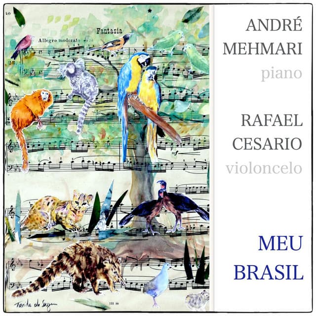 Meu Brasil - André Mehmari