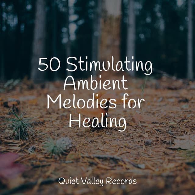 50 Stimulating Ambient Melodies for Healing - Happy Baby Lullaby Collection