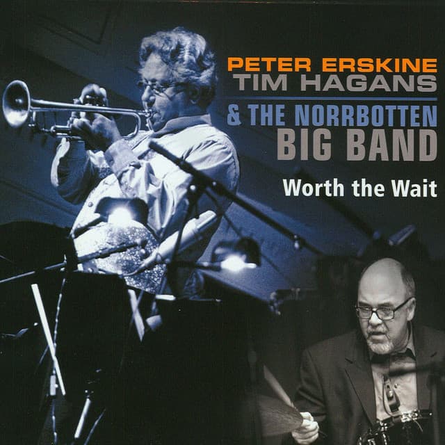 Worth the Wait - Peter Erskine