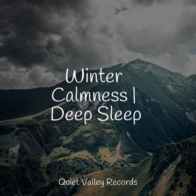 Winter Calmness | Deep Sleep - Sounds Of Nature