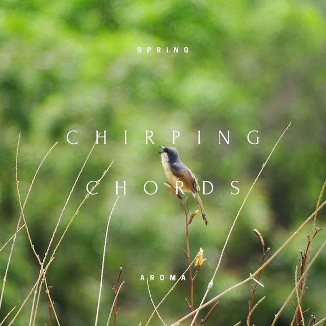 Chirping Chords: The Melody of Spring Aroma - Spring Aroma