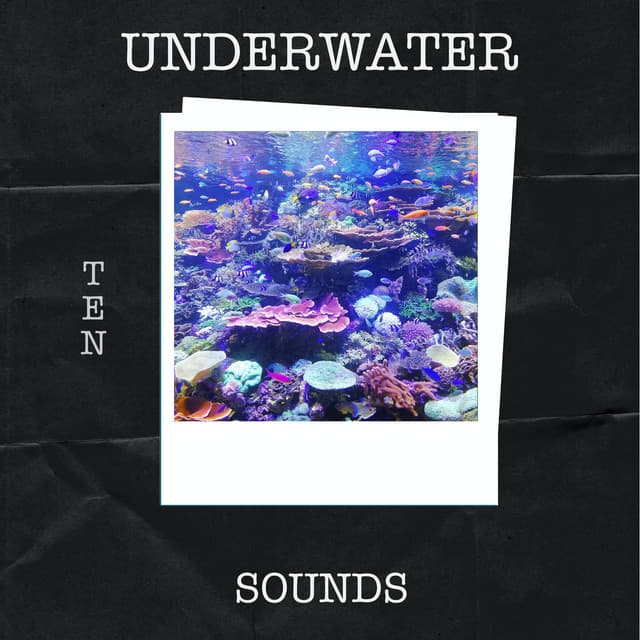 10 Underwater Sounds - Underwater Sounds