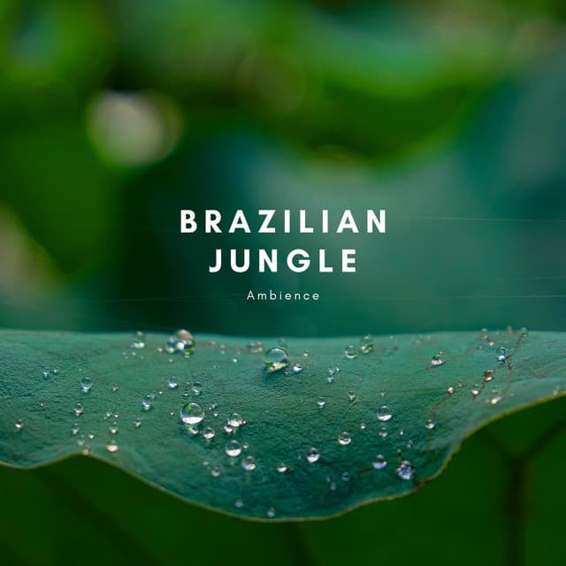 Brazilian Jungle Ambience - Zen Sounds