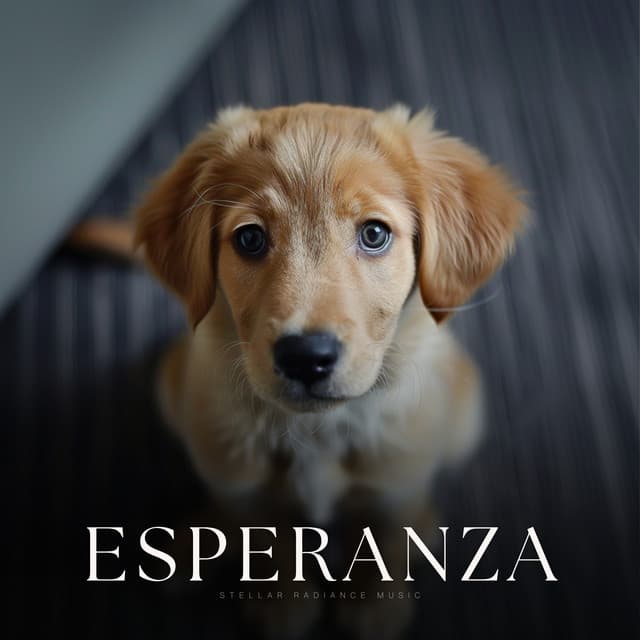 Esperanza - Hora de la Música del Perro