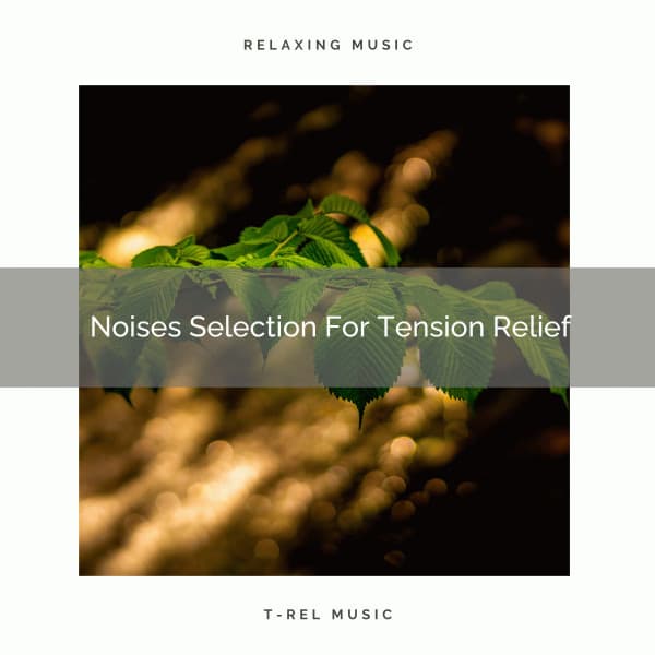 Noises Selection For Tension Relief - Rain Sounds