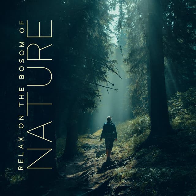 Relax on the Bosom of Nature: Soothing Nature Sounds to Relieve Stress & Anxiety - Nature Music Sanctuary