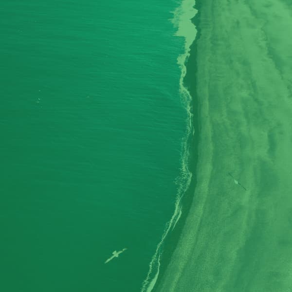 Feelings for Taking Notes - Happy Coffee Shop Music