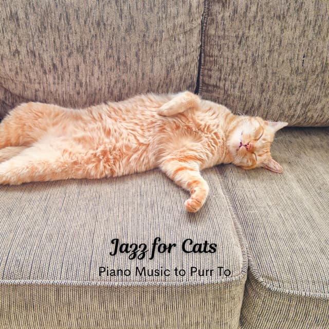 Jazz for Cats: Piano Music to Purr To - Coffee House Classics
