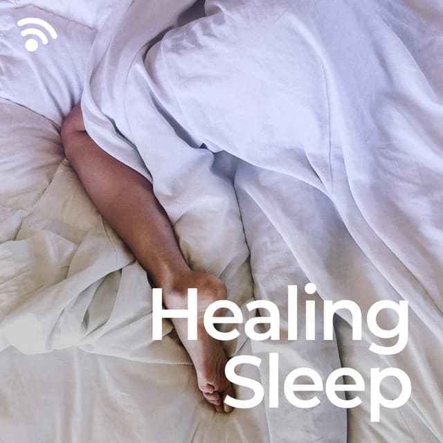 Healing Sleep - Natural Healing Music Zone