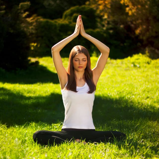 Serenity of Nature: Chill Music for Mindful Yoga - 4D Nature Recordings