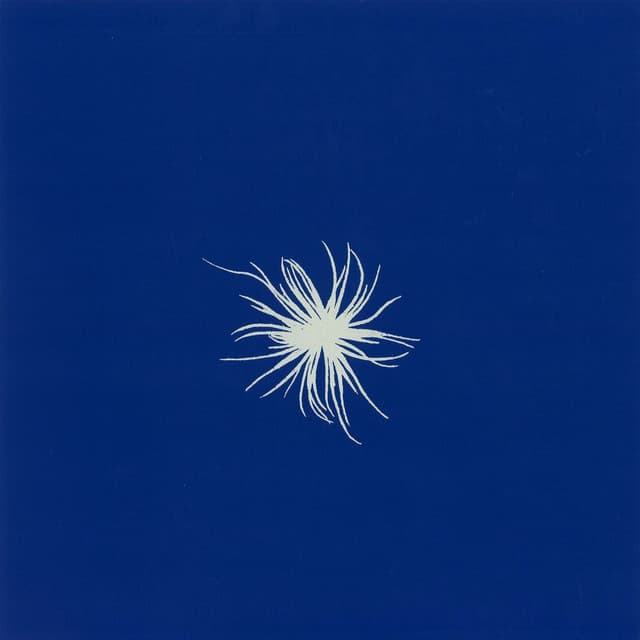 Segona Florada - Orchestra Fireluche