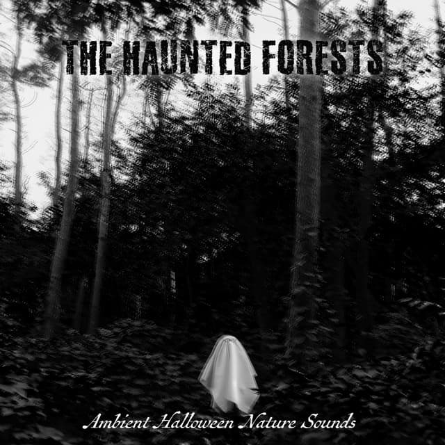 The Haunted Forest - Misty Ray