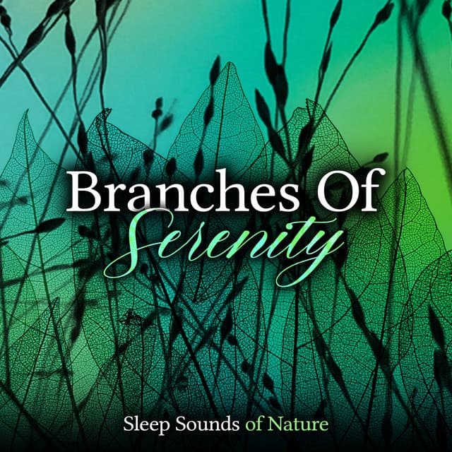 Branches Of Serenity - Sleep Sounds of Nature