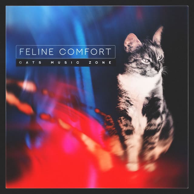 Feline Comfort - Cats Music Zone