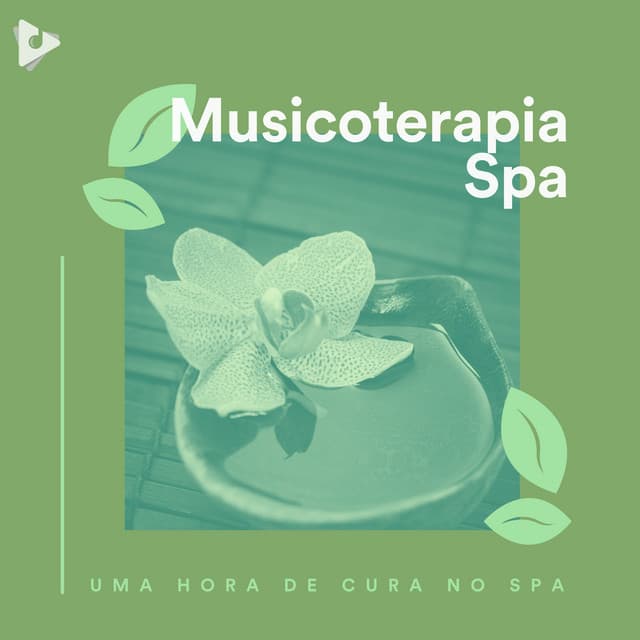 1 Hora de Cura no Spa - Musicoterapia Spa