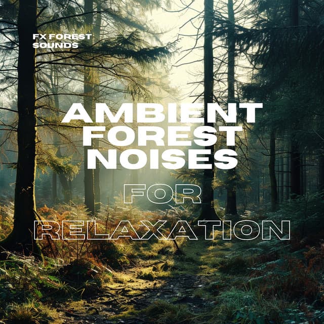 Ambient Forest Noises for Relaxation - FX Forest Sounds