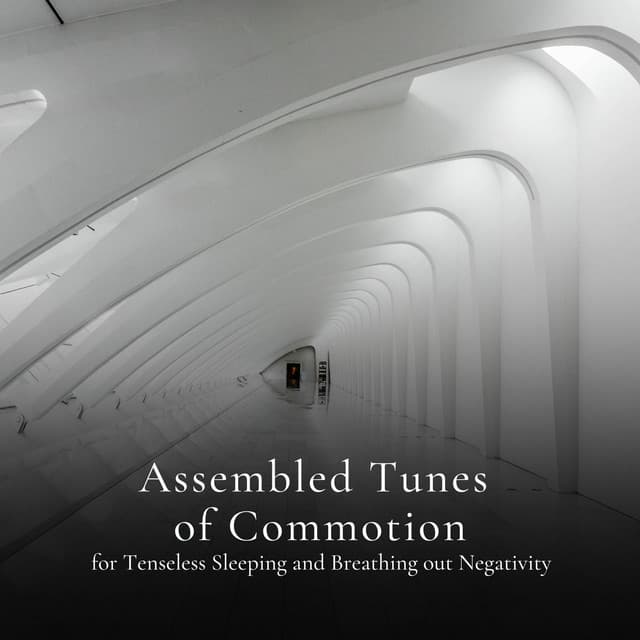 * Assembled Tunes of Commotion for Quiet Night and Sunny Mornings * - Loopable White Noise