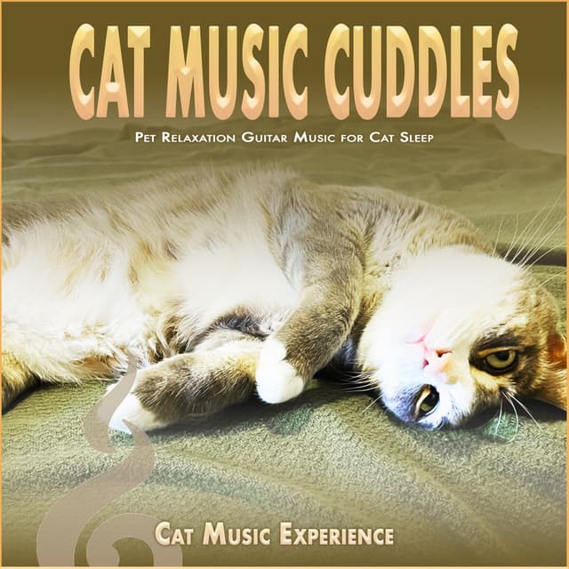 Cat Music Cuddles: Pet Relaxation Guitar Music for Cat Sleep - Cat Music Experience