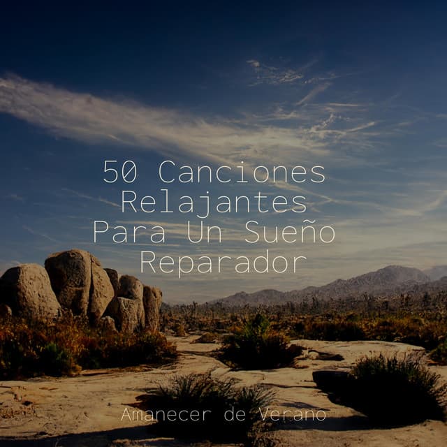 50 Canciones Relajantes Para Un Sueño Reparador - Musica Para Estudiar Academy