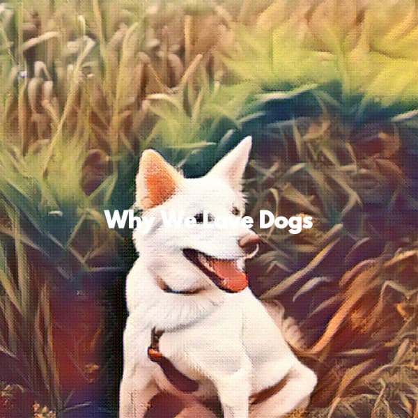 Why We Love Dogs - Musica Relajante Clásico