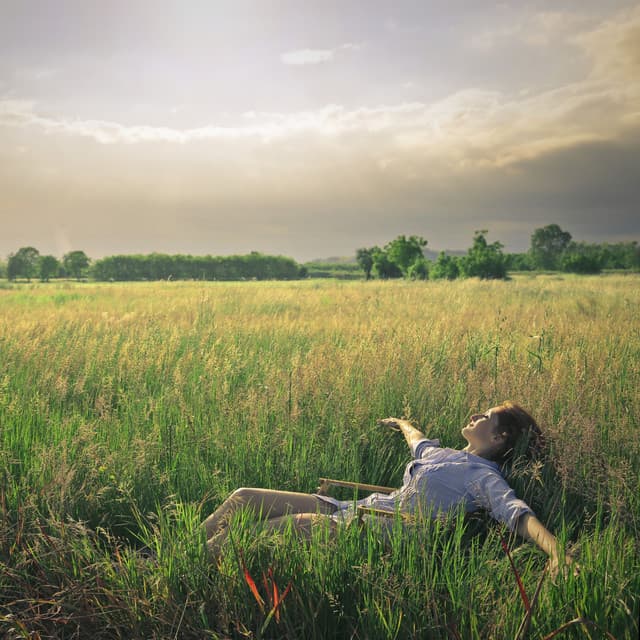 Serene Afternoon: Relaxation with Insects in Nature - Relaxing Nature Recordings