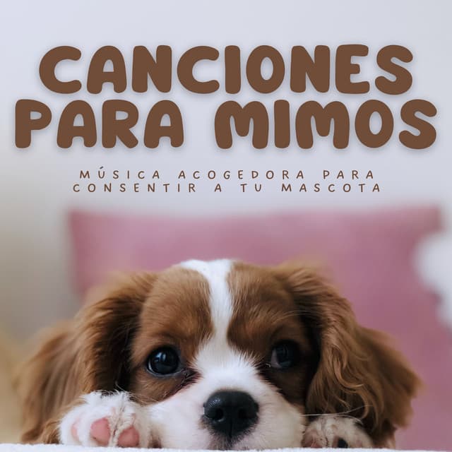 Canciones Para Mimos: Música Acogedora Para Consentir A Tu Mascota - Música ambiental relajante