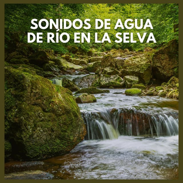 Sonidos de Agua de Río en la Selva - Sonidos De La Selva