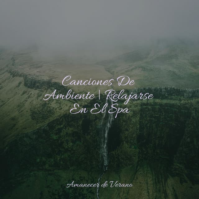 Canciones De Ambiente | Relajarse En El Spa - Canciones Para Niños