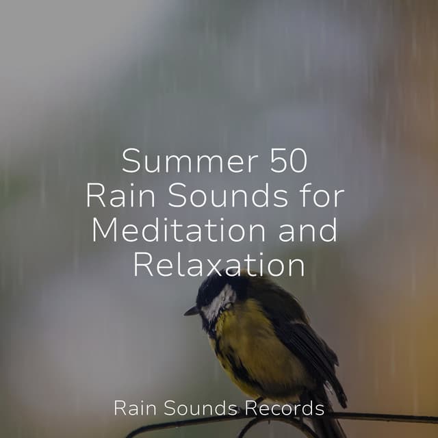 Summer 50 Rain Sounds for Meditation and Relaxation - Zen Music Garden