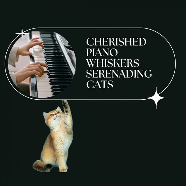 Cherished Piano Whiskers: Serenading Cats - Cat Music