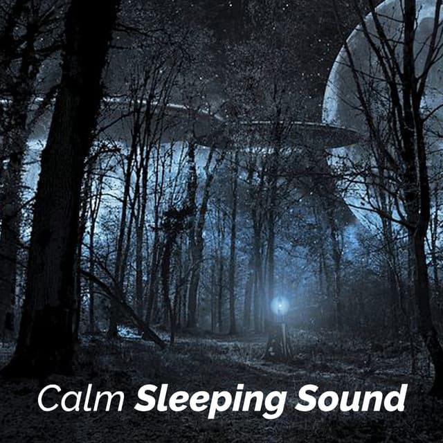 Calm Sleeping Sound - Binaural Sleep Collective