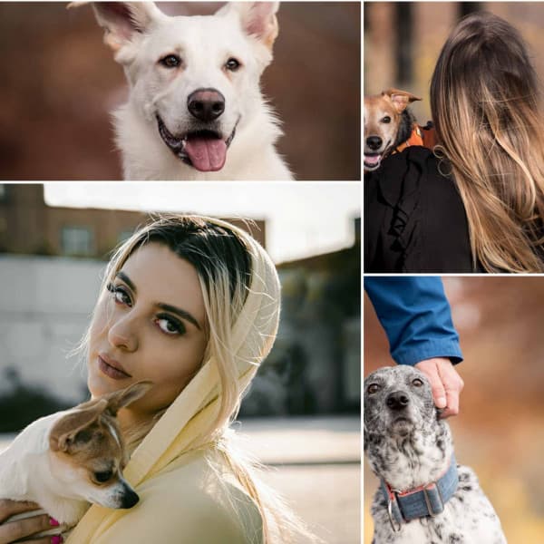 Music for Energetic Puppy - Trumpet, Electric Piano, Alto Sax and Soprano Sax - Dogs at Home