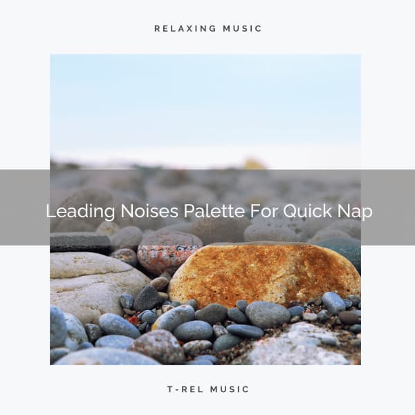 Leading Noises Palette For Quick Nap - Ocean Sleep Sounds