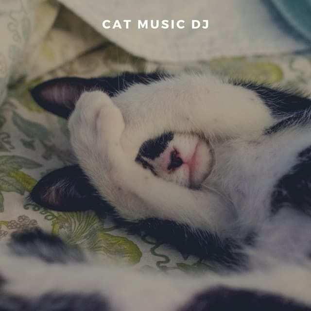 Sleep Aid For Cats - Cat Music DJ