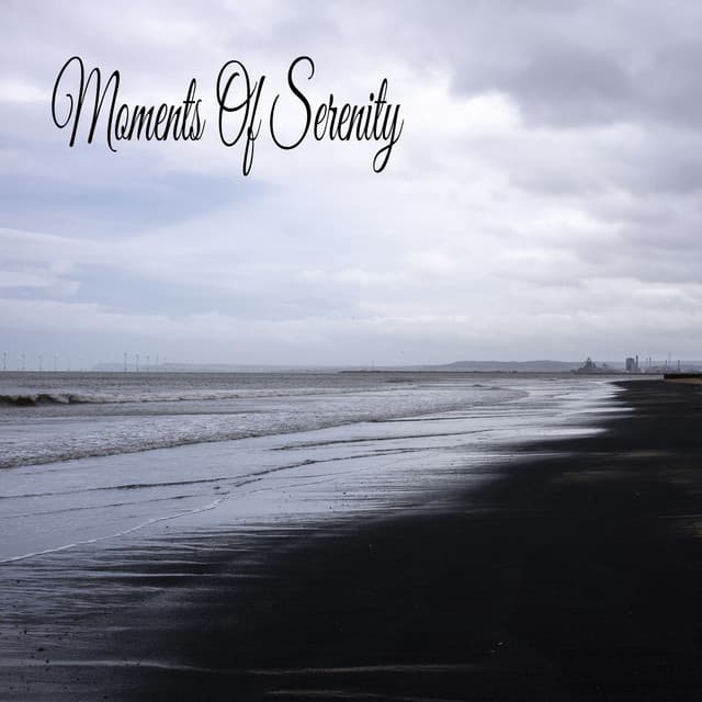 Moments Of Serenity - Relaxing Music