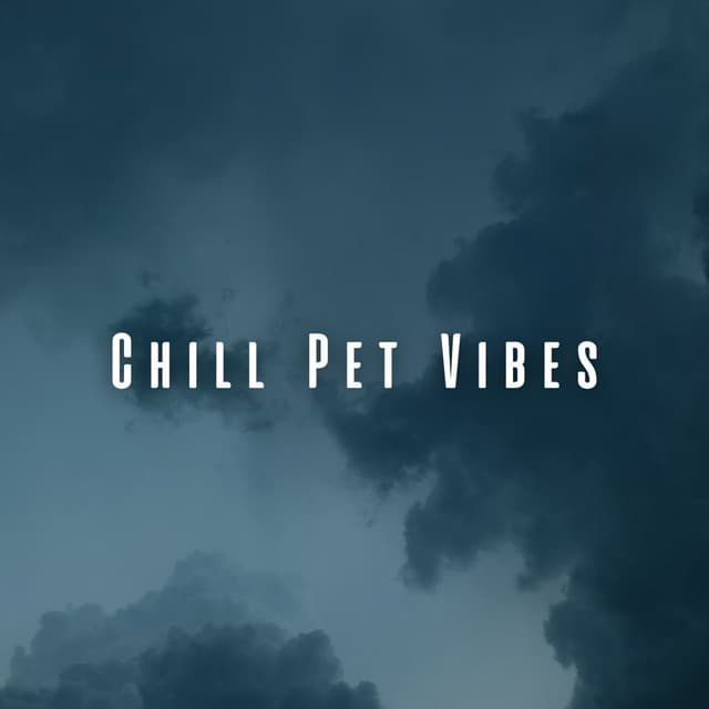 Chill Pet Vibes: Rainy Day Serenade with Chill Music - Danny Rainsounds