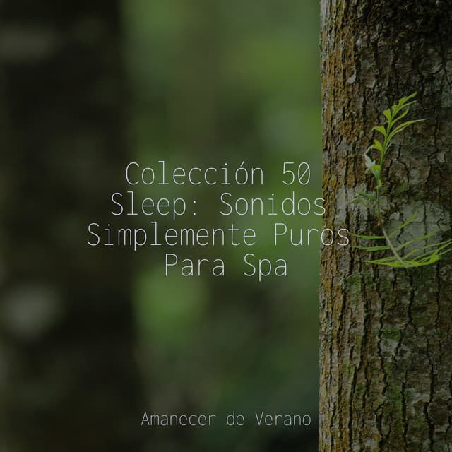 Colección 50 Sleep: Sonidos Simplemente Puros Para Spa - Musica de Piano Escuela