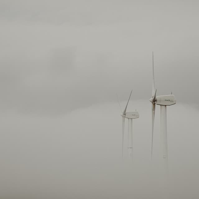 100 Wavelengths: Power in Stillness - Nature Sound Collection