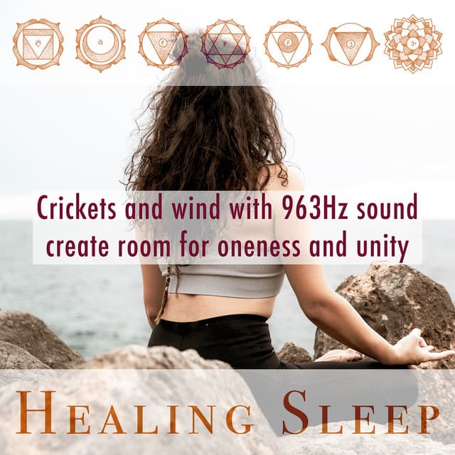 Crickets and wind with 963Hz sound create room for oneness and unity - Healing Sleep