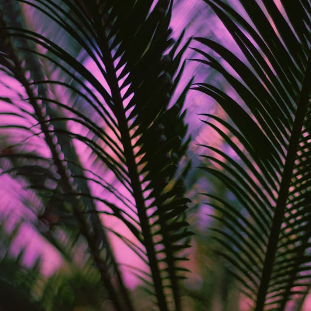 Sleep Music | Serenity - Lush Rain Creators