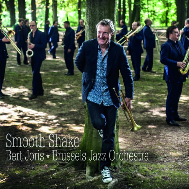 Smooth Shake - Brussels Jazz Orchestra