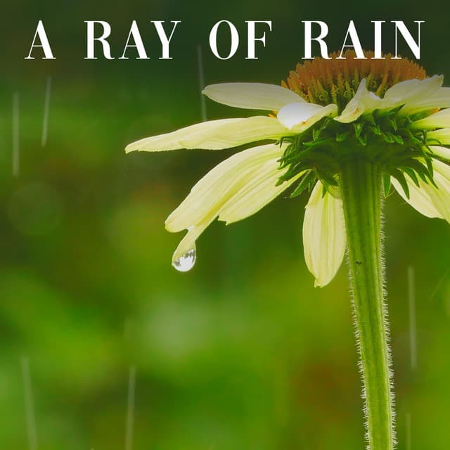 A Ray of Rain - Always Raining