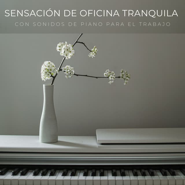 Sensación De Oficina Tranquila Con Sonidos De Piano Para El Trabajo - Piano: relajación clásica
