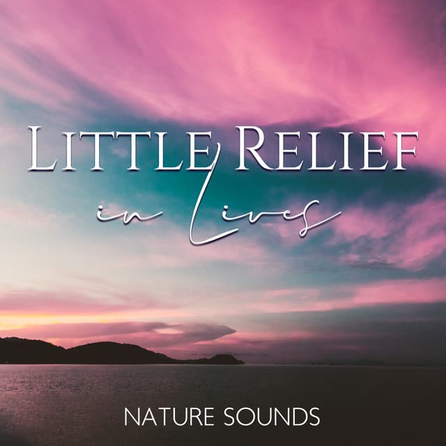 Little Relief in Lives: Nature Sounds, Chakra Balancing, Meditation and Relaxation - Calm Nature Oasis