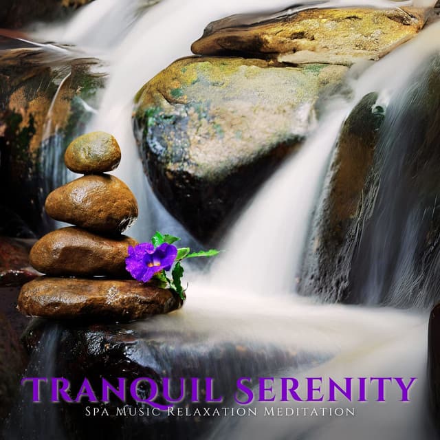 Tranquil Serenity: Relaxing Massage Music - Spa Music Relaxation Meditation