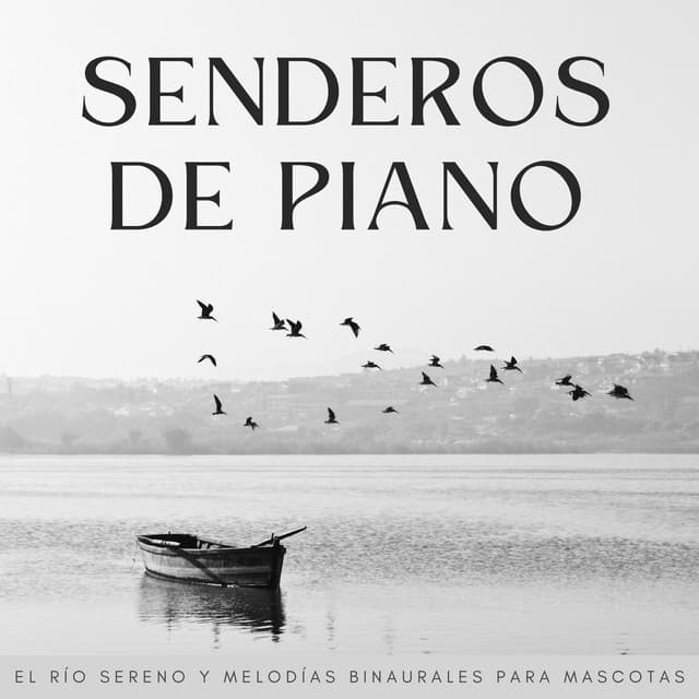 Senderos De Piano: El Río Sereno Y Melodías Binaurales Para Mascotas - Escalofrío de jazz de piano