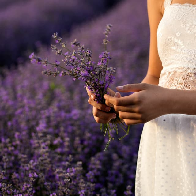 Binaural Beat Therapy – Effective Confortable Sleep Aid Loopable - Binaural Beat Therapy